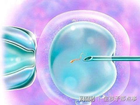 试管婴儿