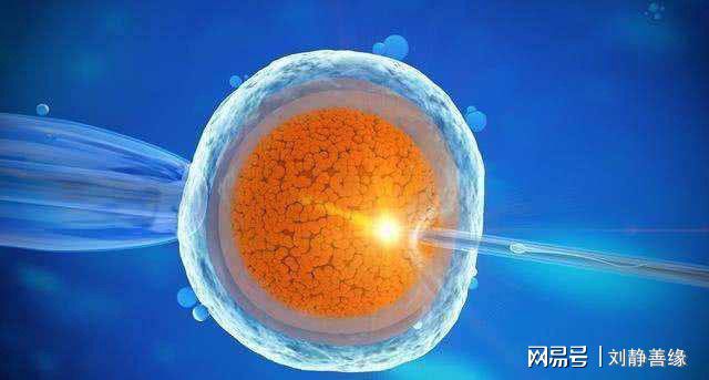 儿童心理健康教育
