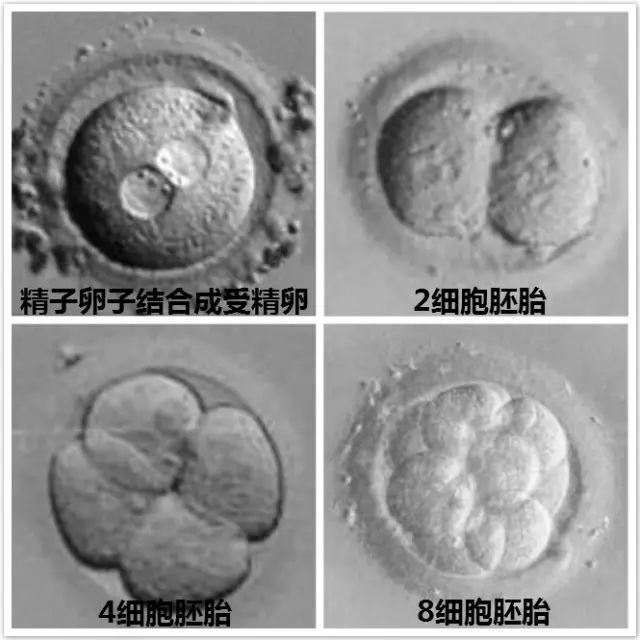 儿童心理健康