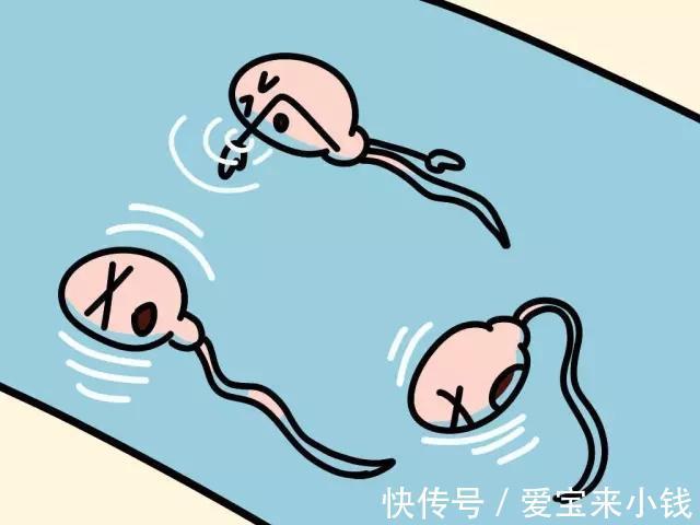 捐卵招聘