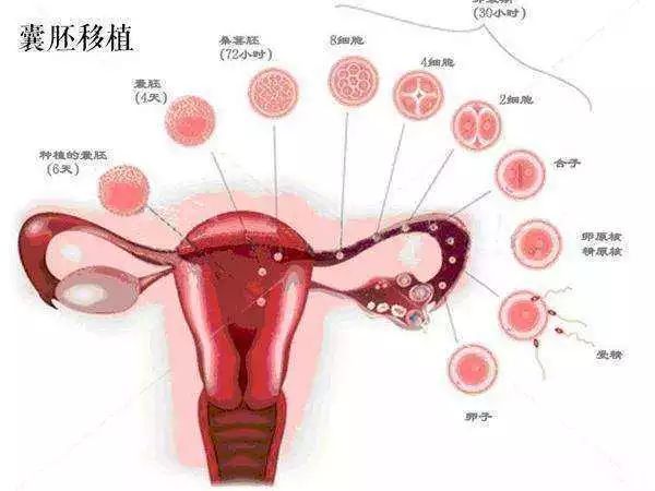儿童心理健康