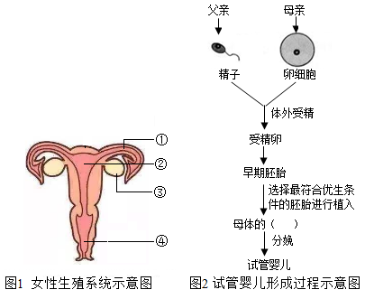 儿童心理疏导