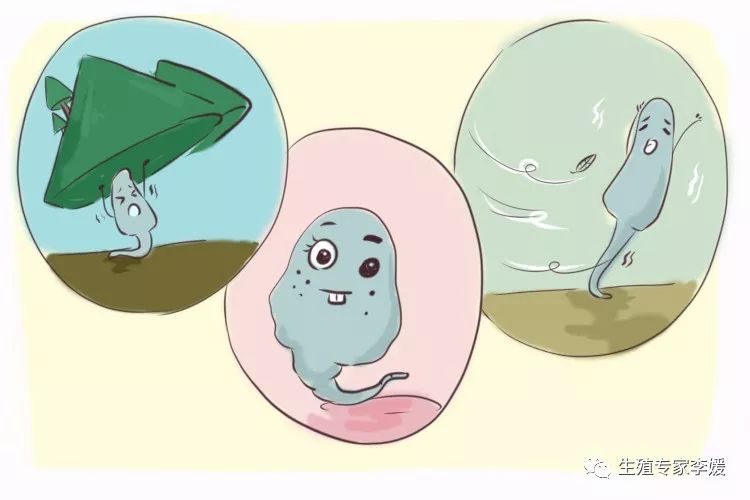 免疫性不孕